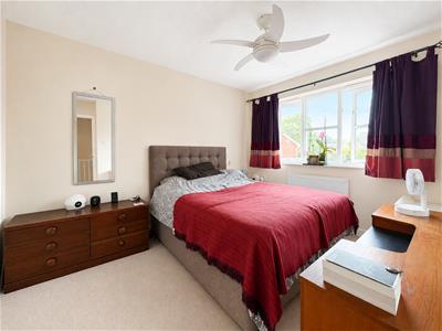 Picture 11